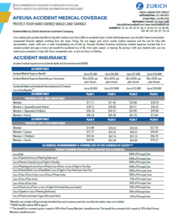 Zurich Accident Medical Coverage Insurance Flyer